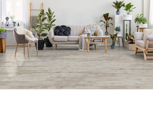 XL FIRMFIT SPC פלוטו V4 2779 6.5 מ''מ כולל גב IXPE