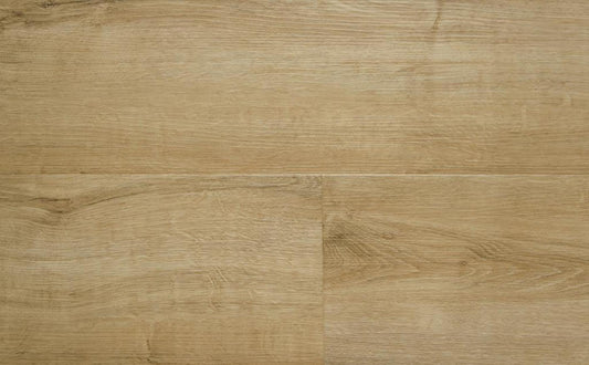 SPC פלוטו 1866 6 מ''מ  גב EVA