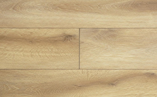 SPC פלוטו 2631 6 מ''מ V4 גב EVA