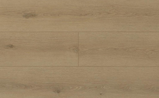 SPC ספוטלייט 7020 5 מ"מ 4 V גב EVA