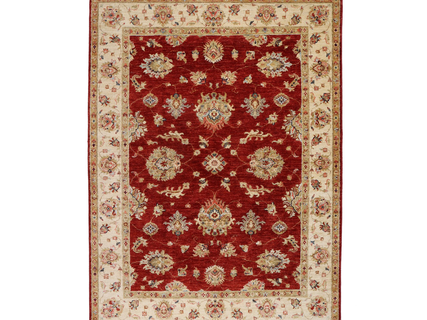 זיגלר בז' אדום 3.00