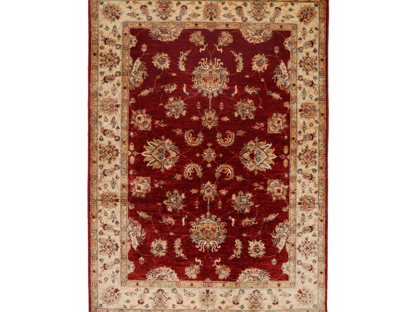 זיגלר בז' אדום 3.00