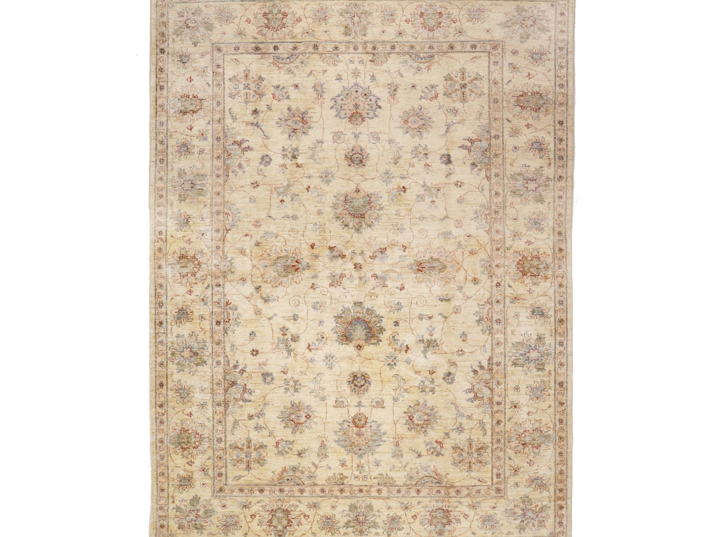 זיגלר בז' אדום 3.00