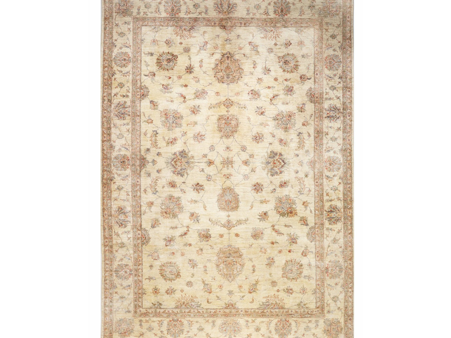 זיגלר בז' 7.00