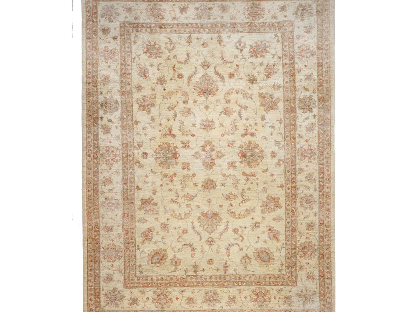 זיגלר בז' 6.50