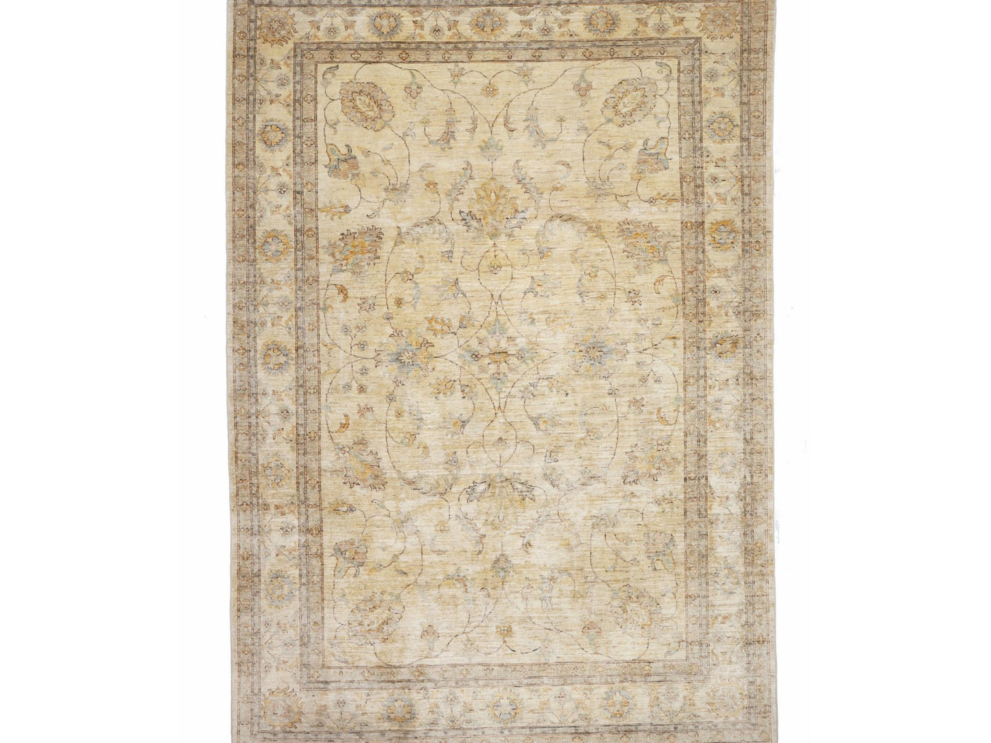 זיגלר בז' 6.00