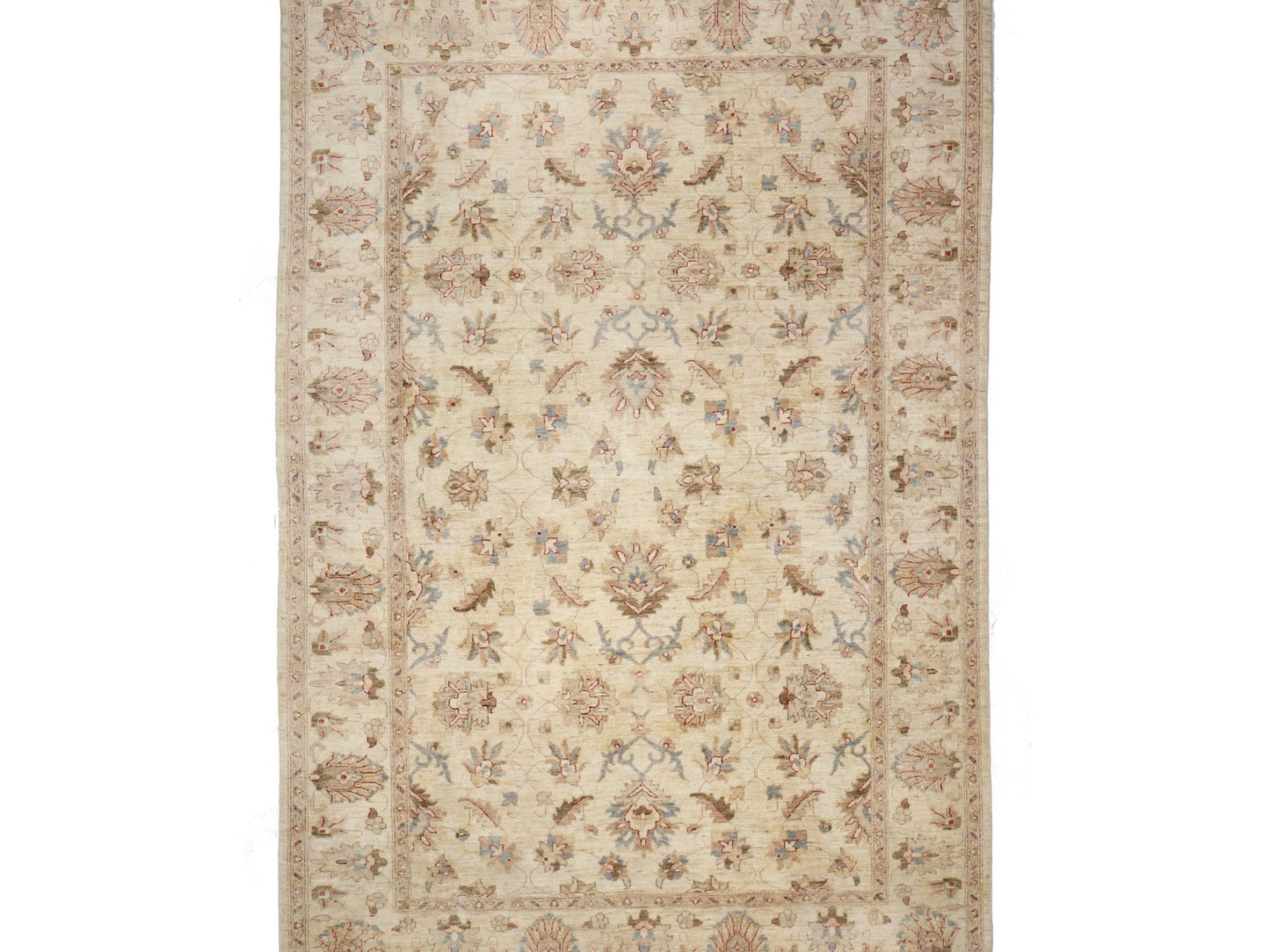 זיגלר בז' 6.00