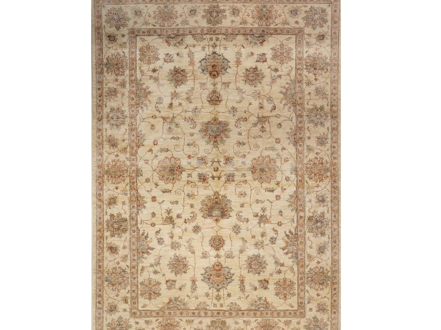 זיגלר בז' 4.50