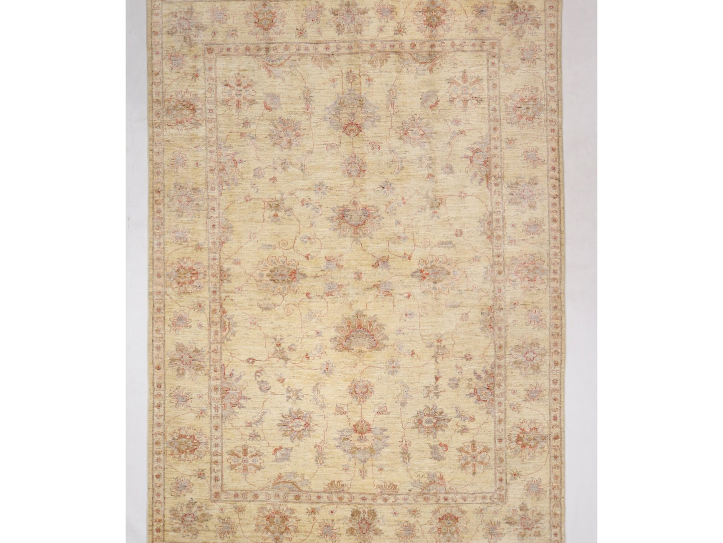 זיגלר בז' 4.50