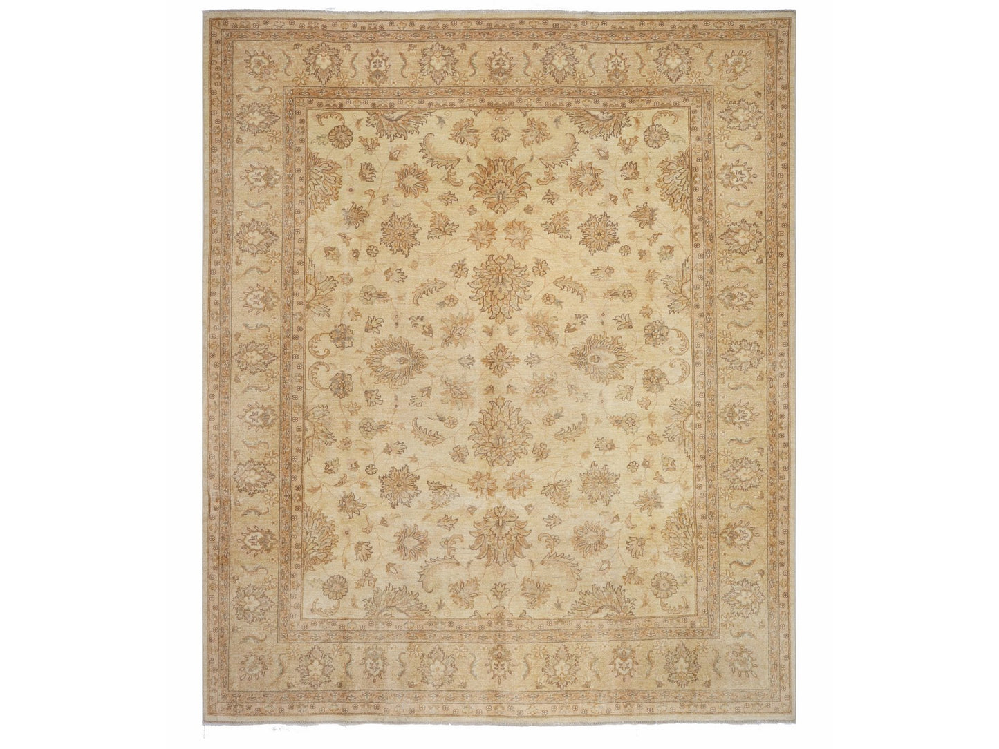 זיגלר בז' 7.50