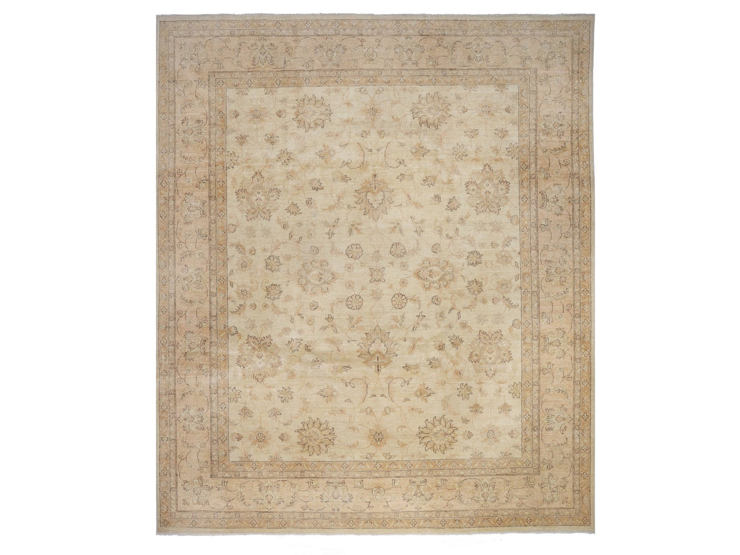 זיגלר בז' 7.50