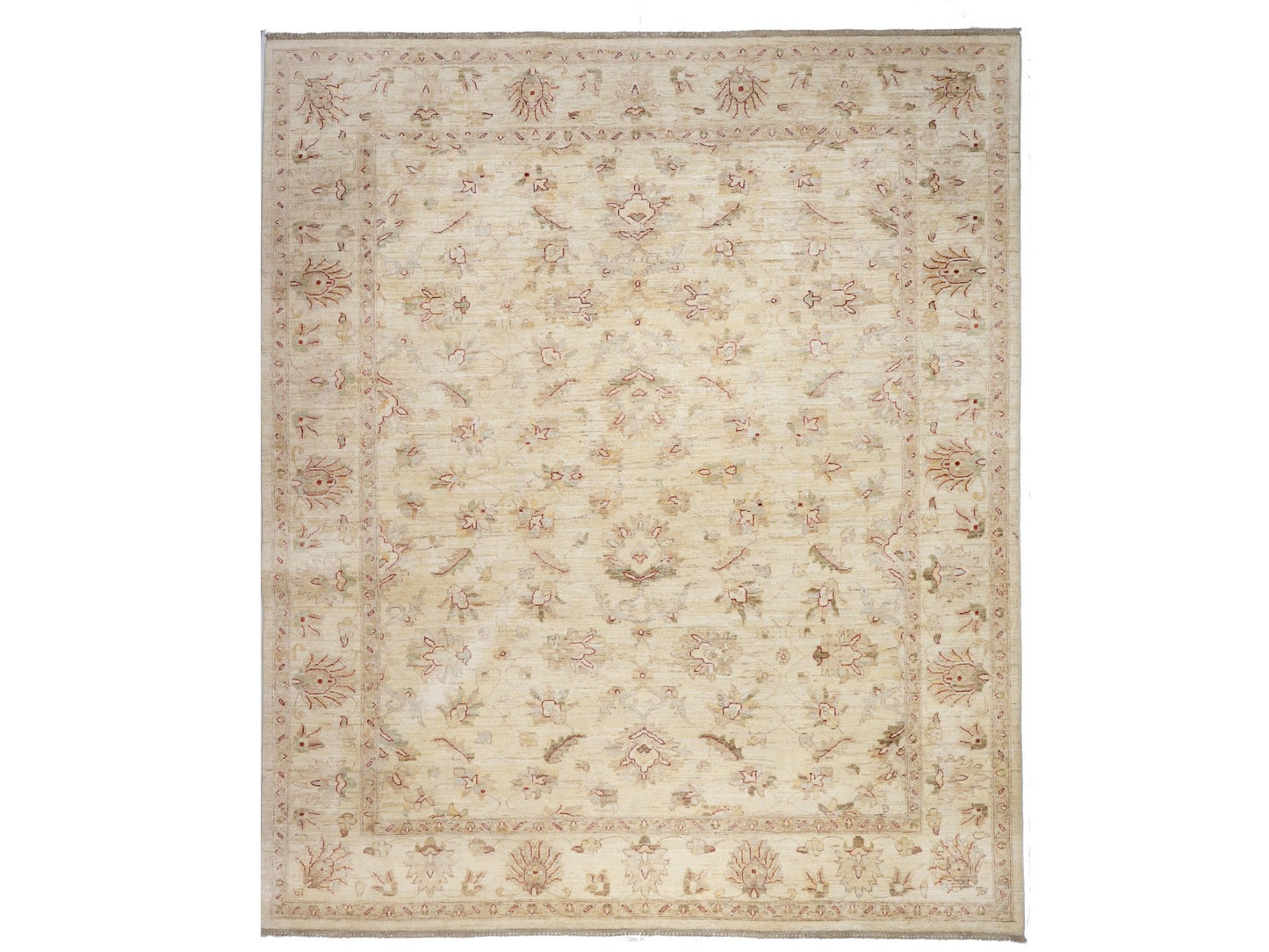 זיגלר בז' 7.50