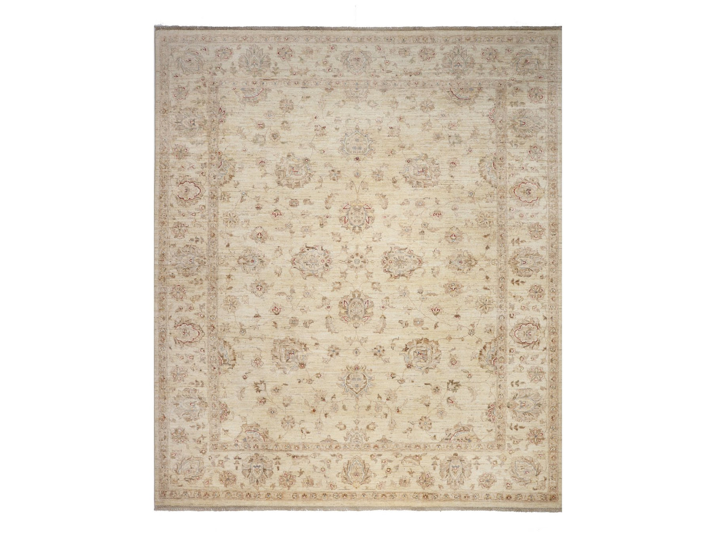 זיגלר בז' 7.50