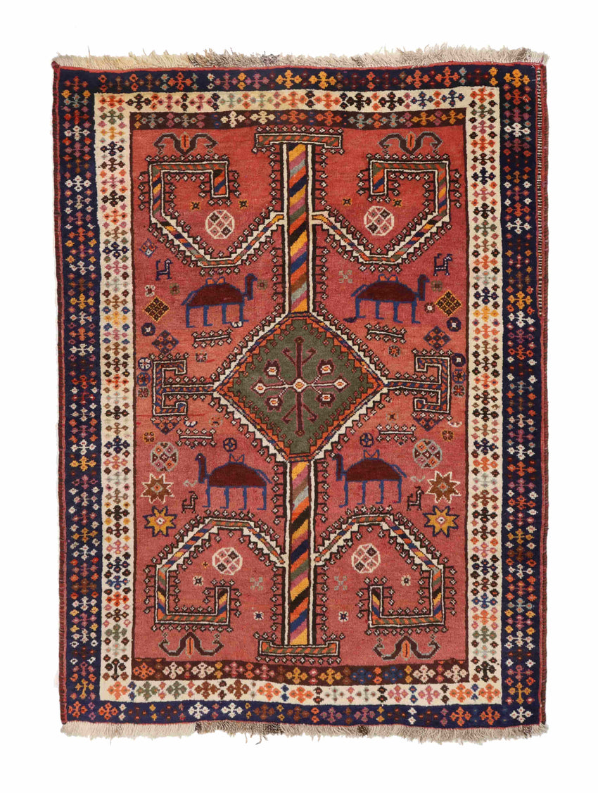 שירז צמר 1.58 מ