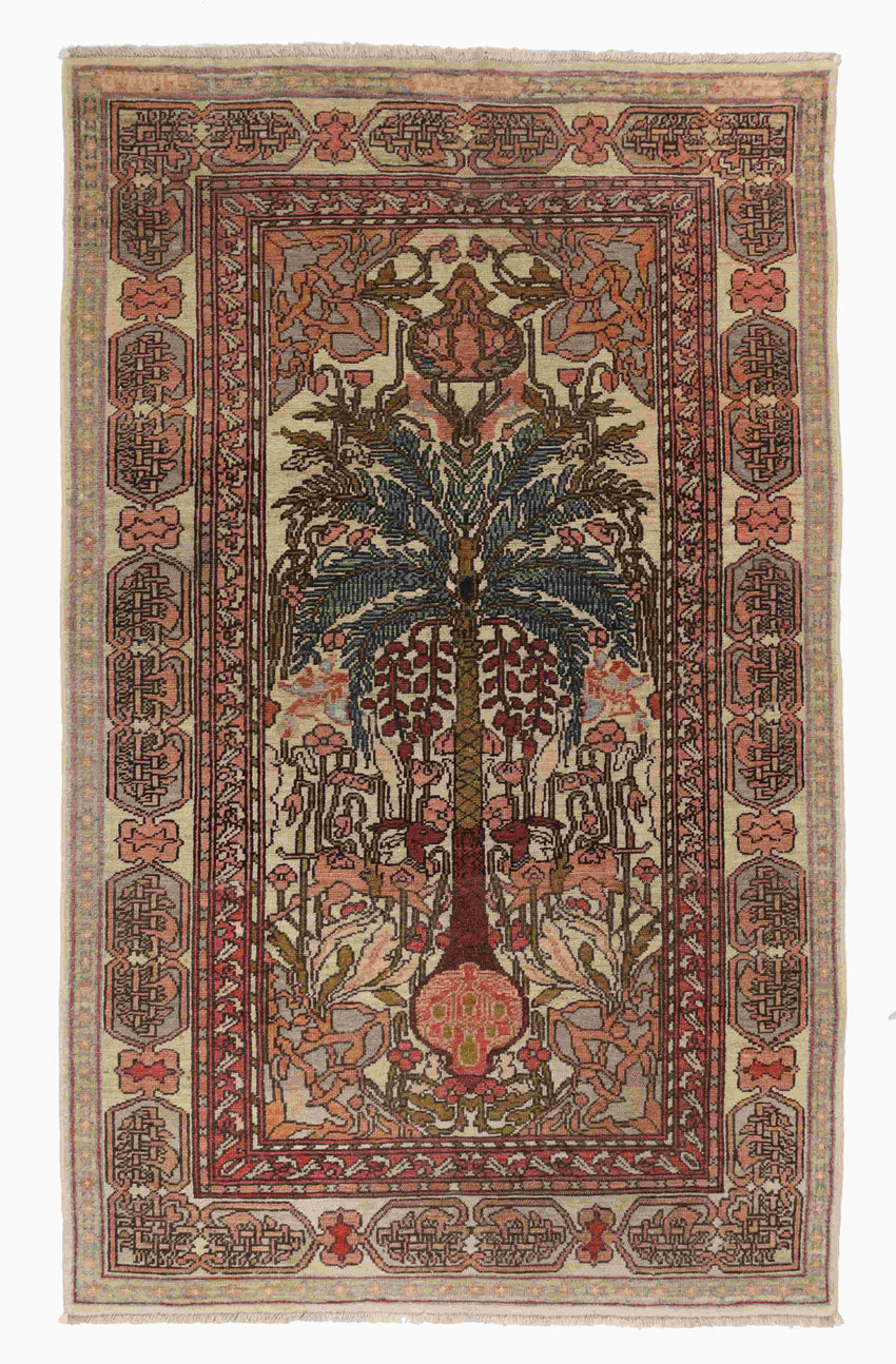 מרבדיה 2.56 מ