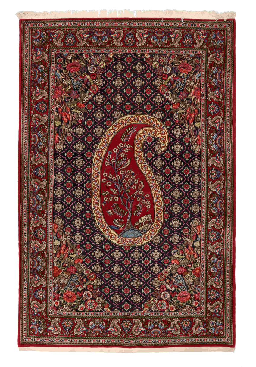 קום סאווה 2.77 מ