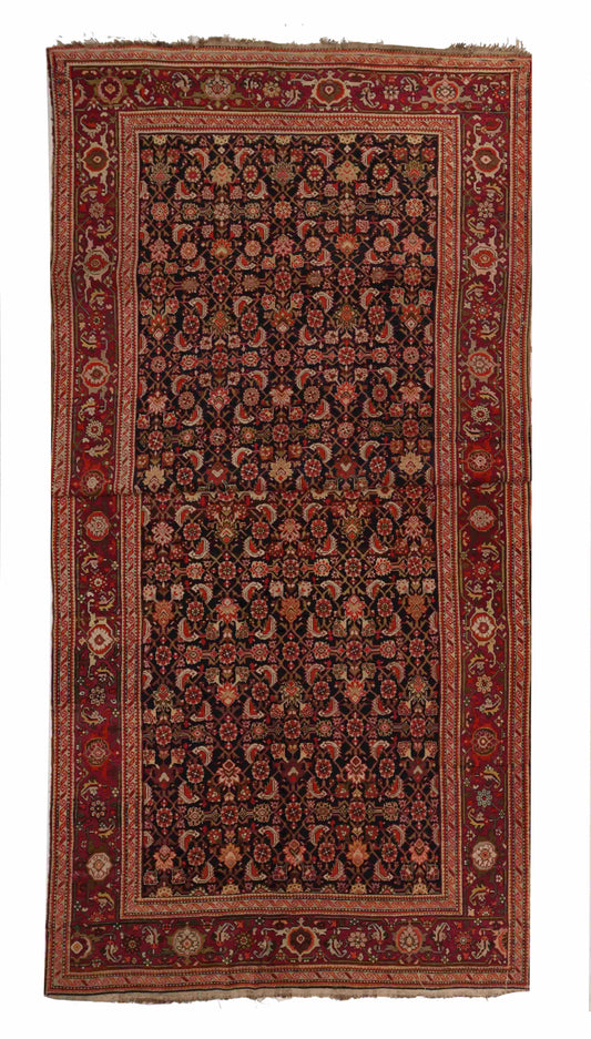 קווקזי עתיק  11.9 מ"ר