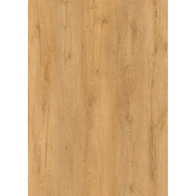 LVT סנסו ראסטיק 609 אלון מוברש