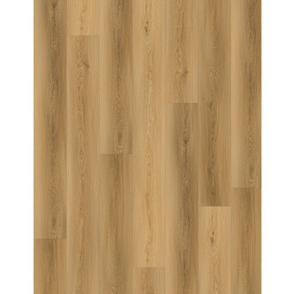 SPC CARMEL PRO 8013  עובי 5 מ"מ גב EVA