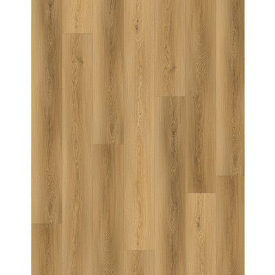 SPC CARMEL PRO 8006  עובי 5 מ"מ גב EVA