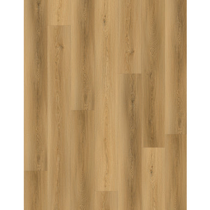 SPC CARMEL PRO 8006  עובי 5 מ"מ גב EVA