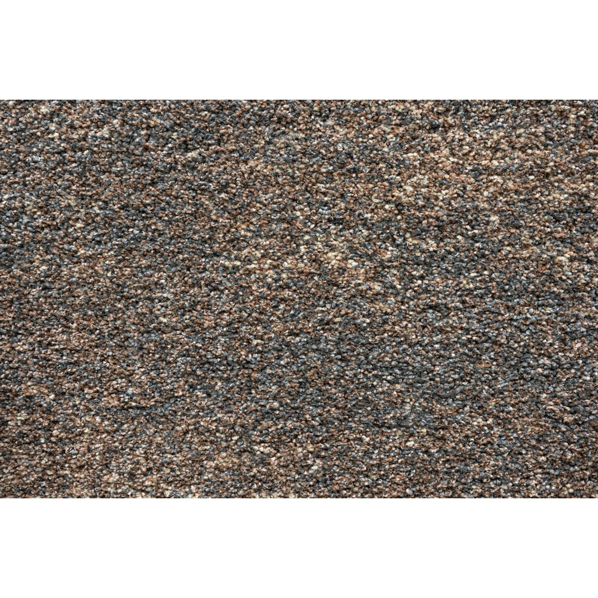 ריין 104 צורני