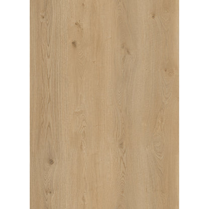 SPC CARMEL PRO 7150  עובי 6 מ"מ גב EVA